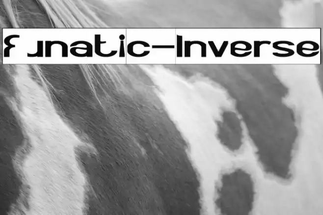 Funatic-Inverse Font examples