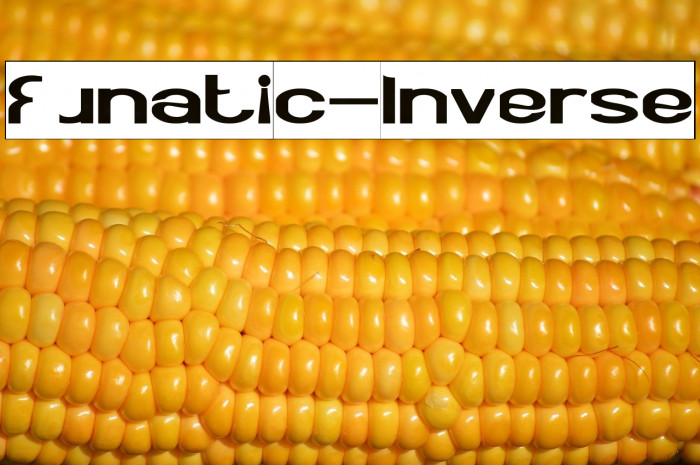 Funatic-Inverse Example 2