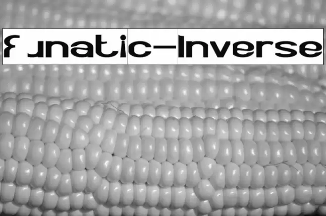 Funatic-Inverse Font examples