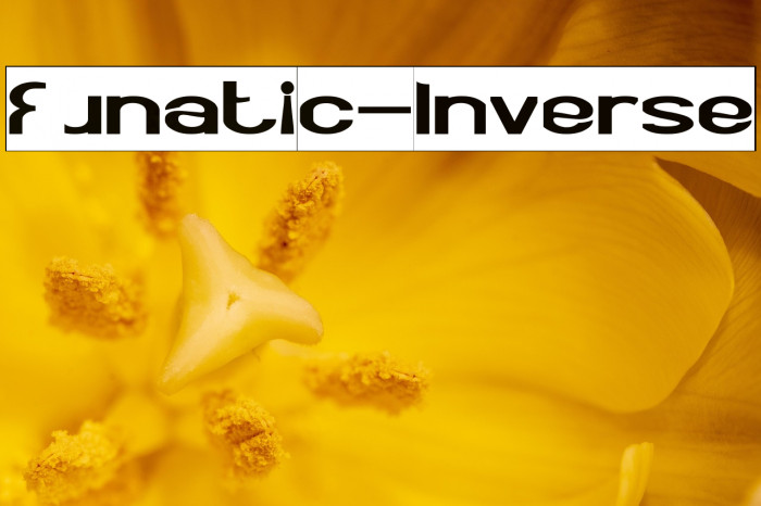 Funatic-Inverse Example 3