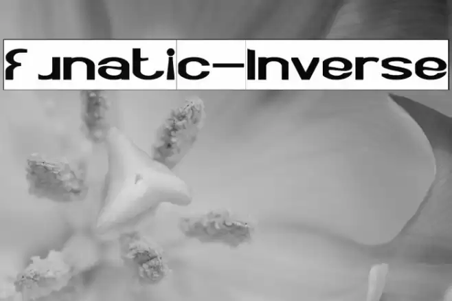 Funatic-Inverse Font examples