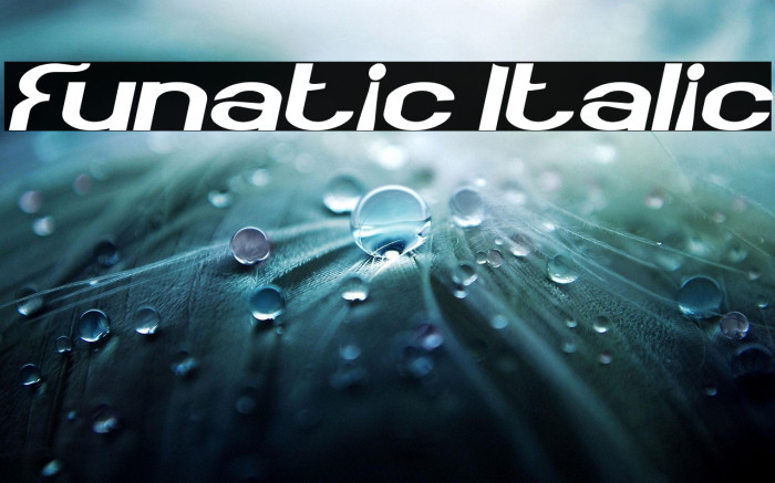 Funatic Italic Example 1