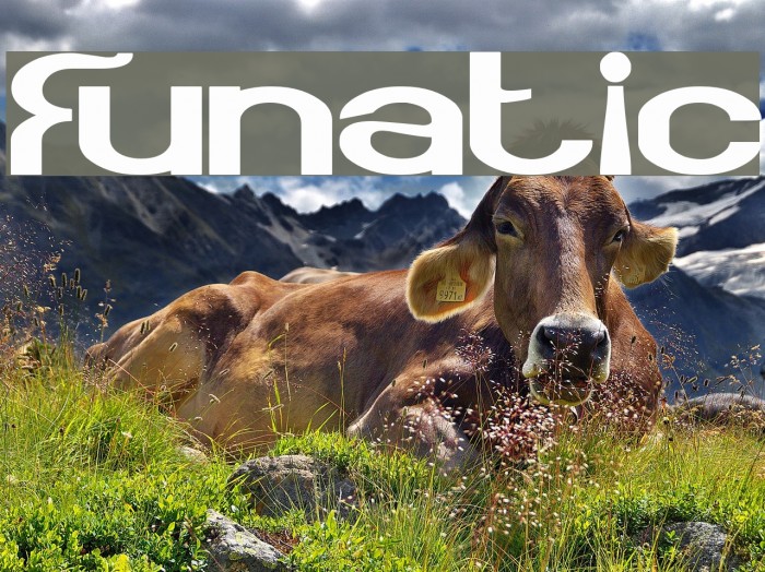 Funatic Font examples