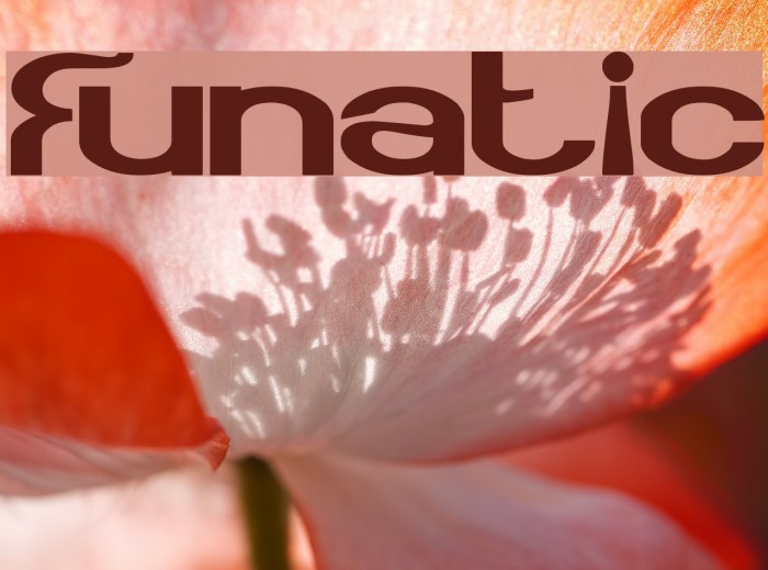 Funatic Font examples