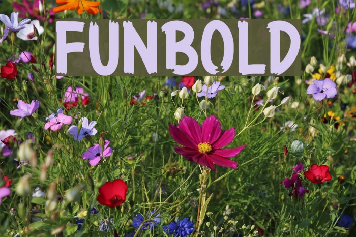 Funbold Font examples