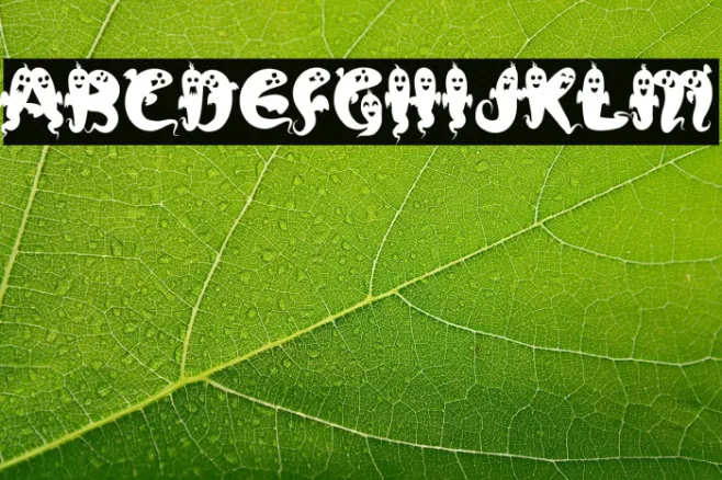 Funboo Example 2