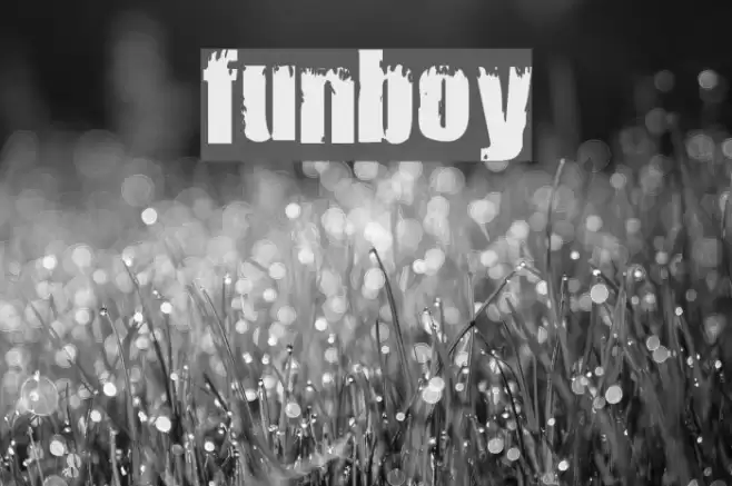 Funboy Font examples