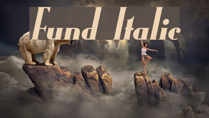 Fund Italic Font examples