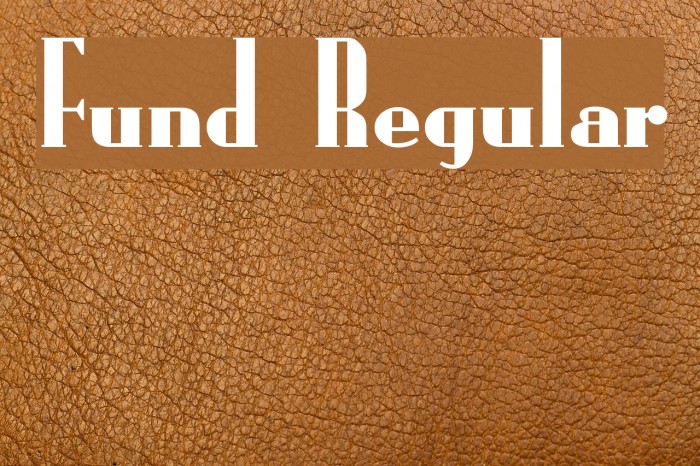 Fund Regular Font examples