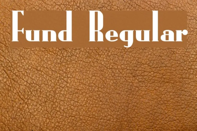 Fund Regular Example 1