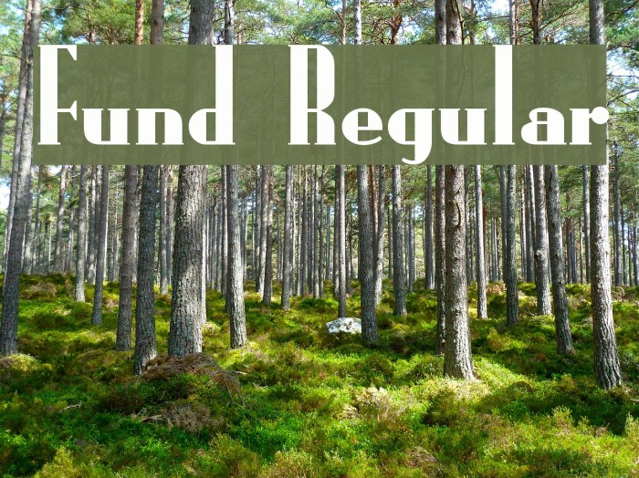 Fund Regular Font examples