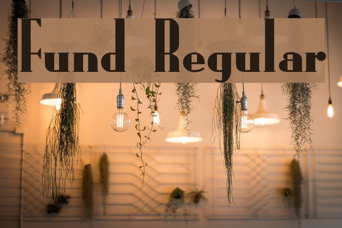 Fund Regular Font examples