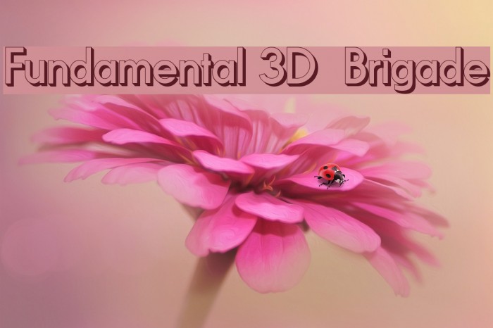 Fundamental 3D Brigade Font examples