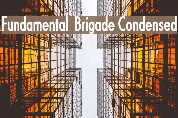 Fundamental Brigade Condensed Font examples