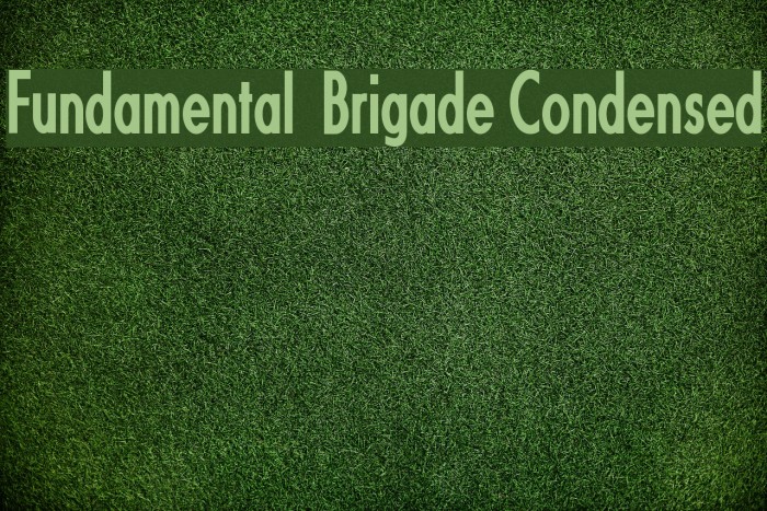 Fundamental Brigade Condensed Font examples