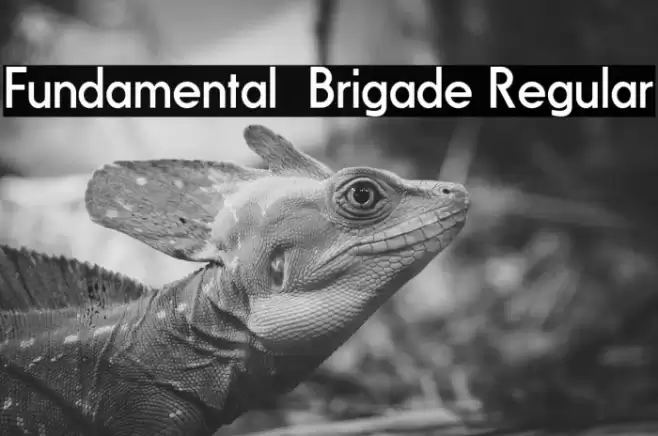 Fundamental  Brigade Regular Font examples