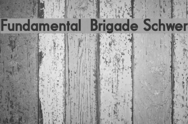 Fundamental  Brigade Schwer Font examples