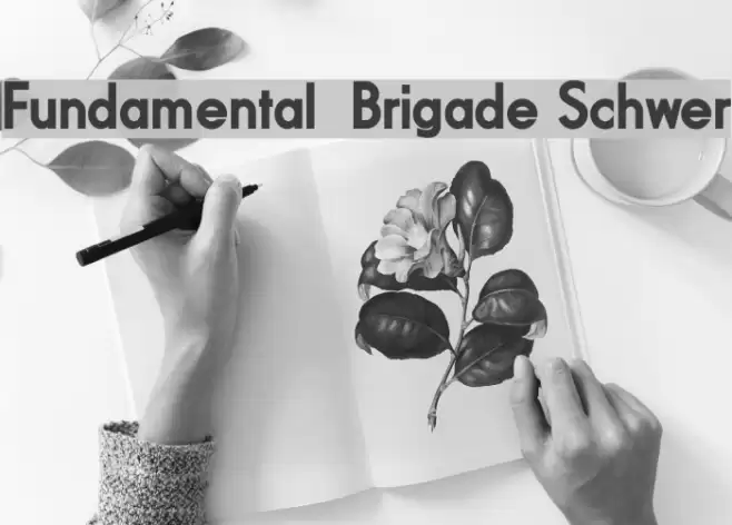 Fundamental  Brigade Schwer Font examples