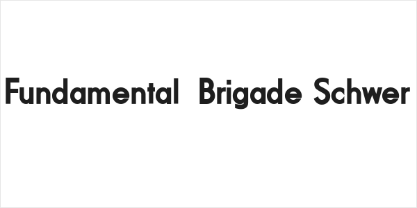 Fundamental  Brigade Schwer Logo