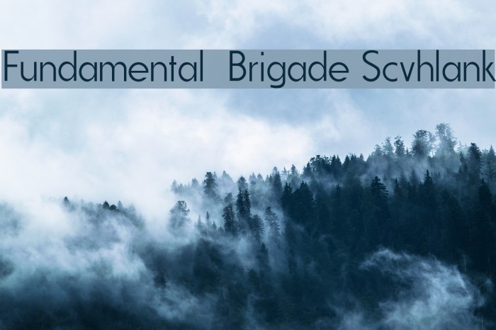 Fundamental Brigade Scvhlank フォント examples