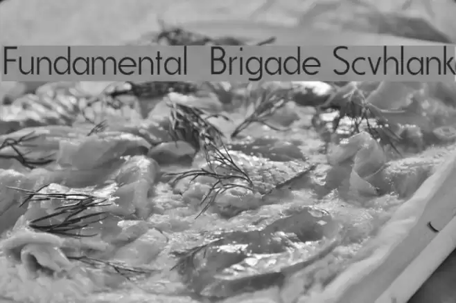 Fundamental Brigade Scvhlank フォント examples