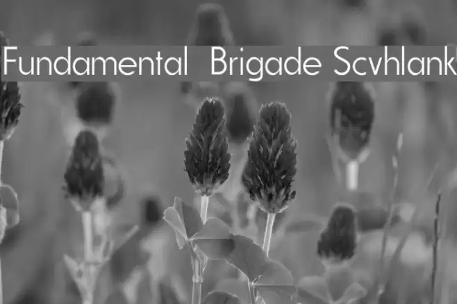 Fundamental Brigade Scvhlank フォント examples