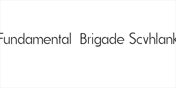 Fundamental  Brigade Scvhlank Logo