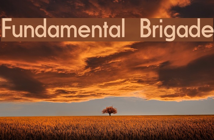 Fundamental Brigade Font examples