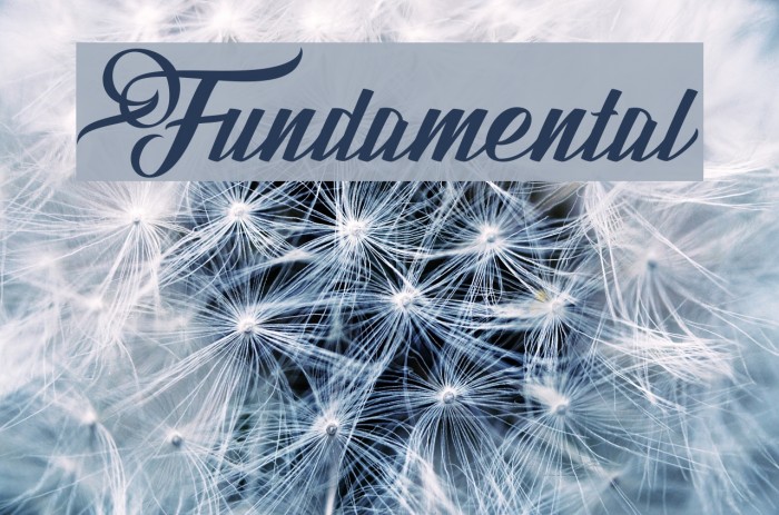 Fundamental Example 1