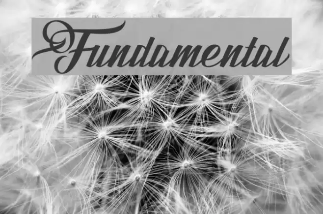 Fundamental Font examples