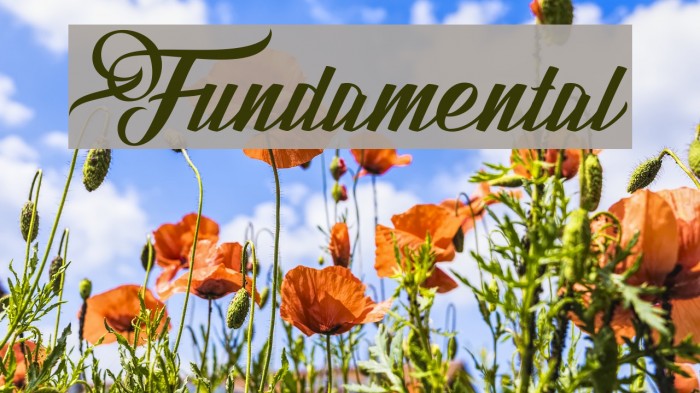 Fundamental Example 2