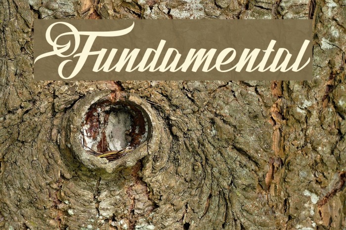 Fundamental Example 3