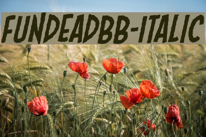 FundeadBB-Italic Font examples