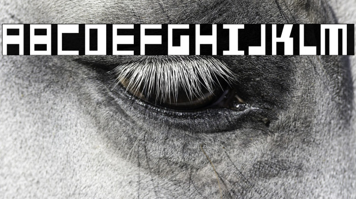 Fundstueck Example 3