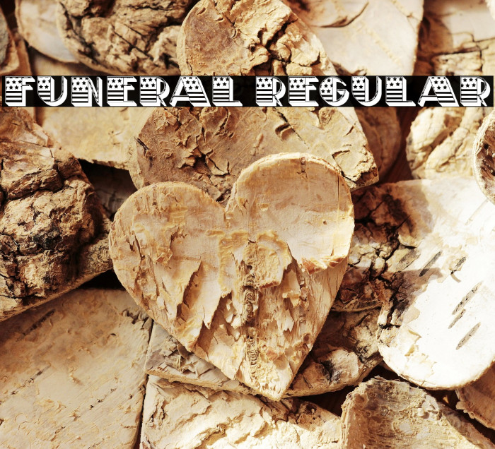Funeral Regular Font examples