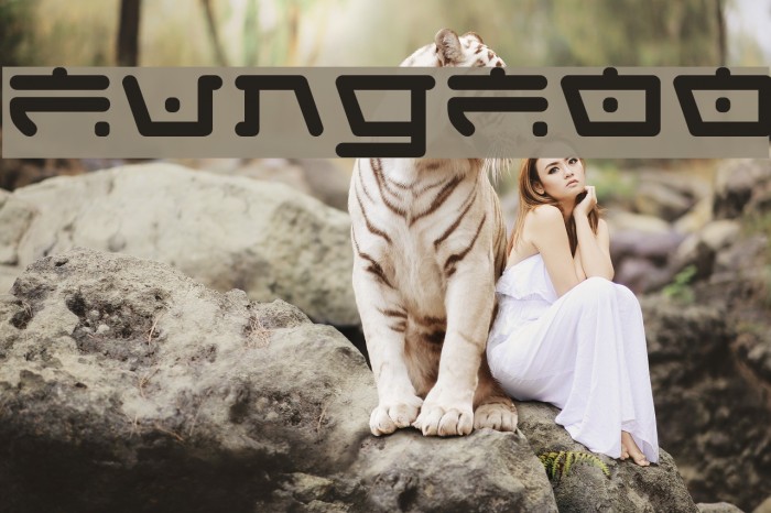FungFoo Font examples