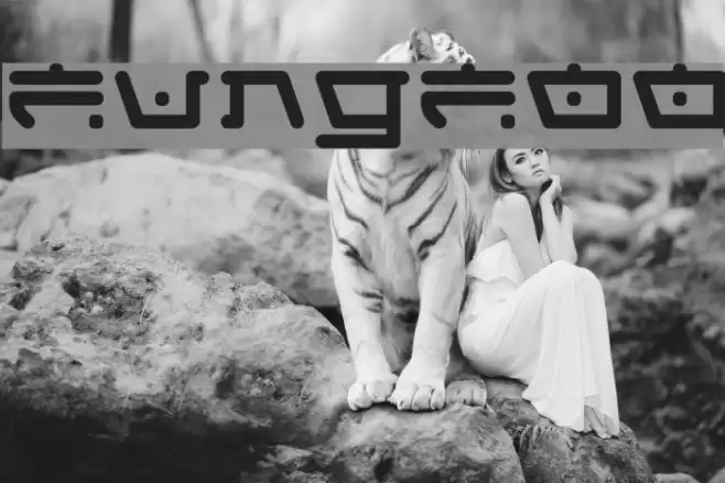 FungFoo フォント examples
