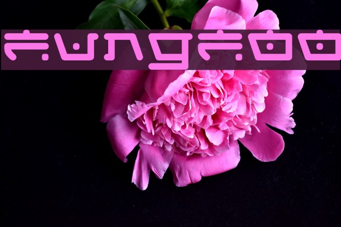 FungFoo Font examples