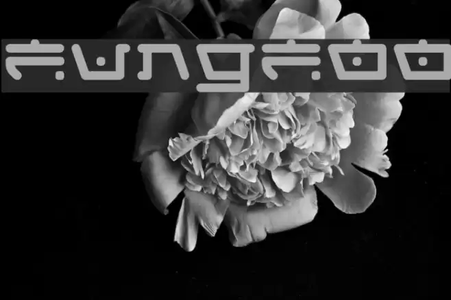 FungFoo フォント examples