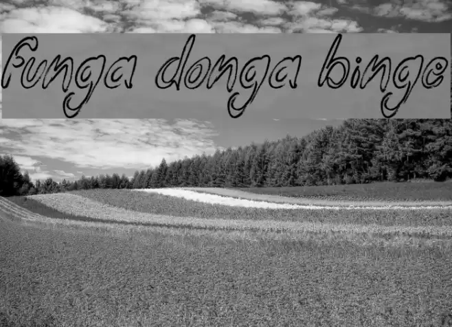 Funga Donga Binge Font examples