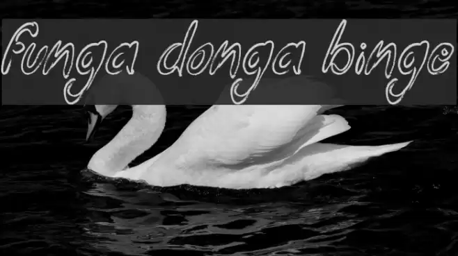 Funga Donga Binge Font examples
