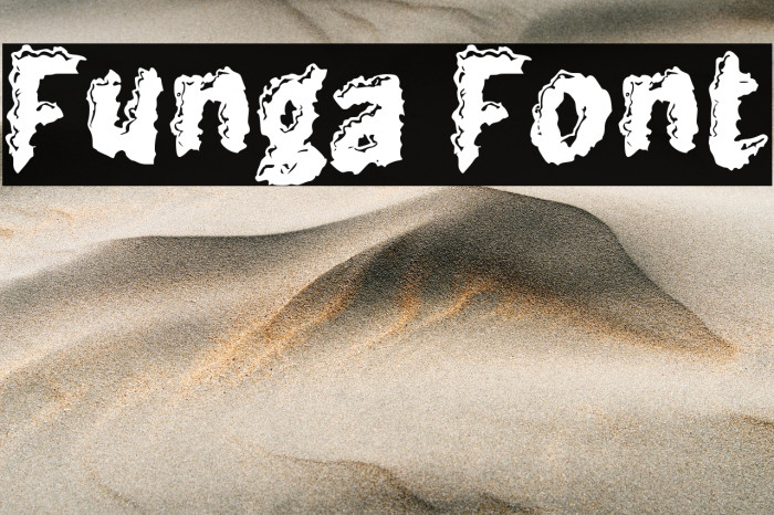 Funga Example 1