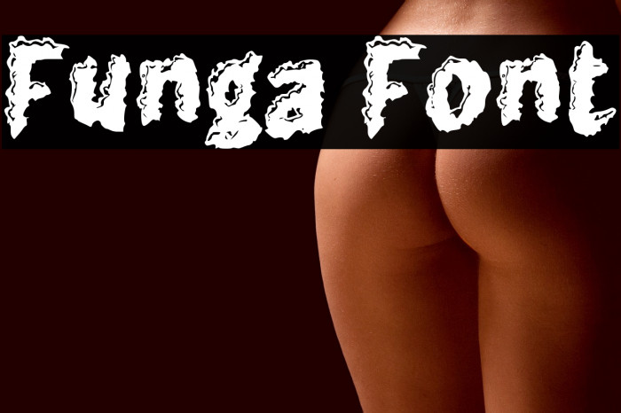 Funga Example 3