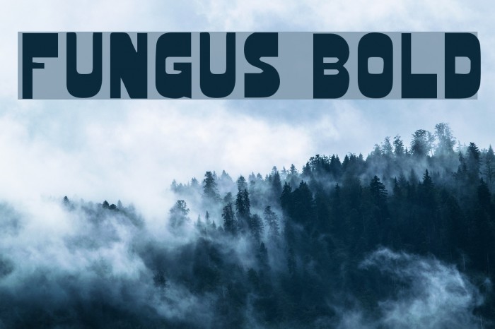 Fungus Bold Font examples