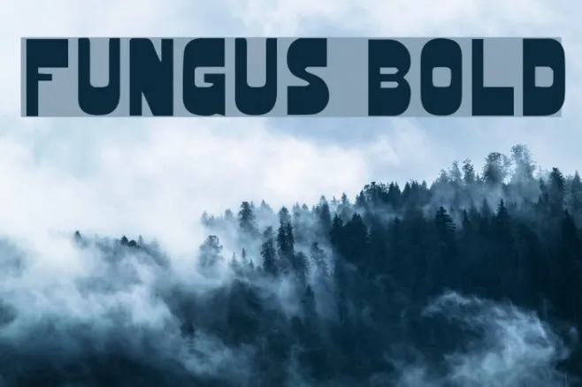 Fungus Bold Example 1