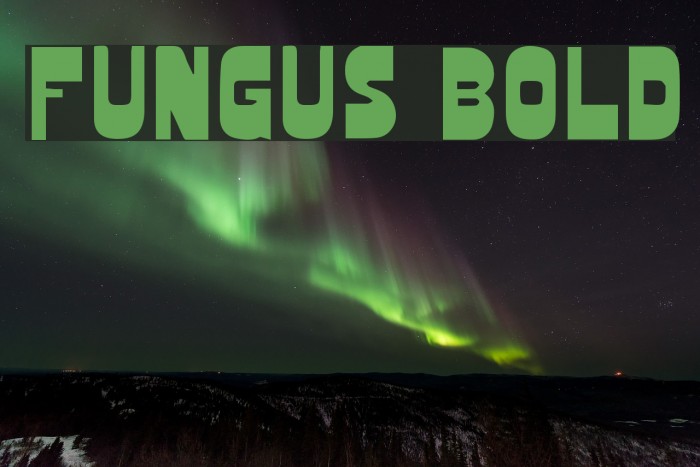 Fungus Bold Font examples