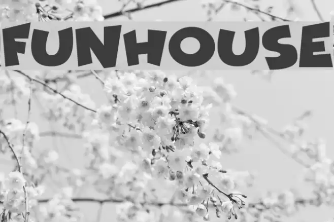 Funhouse Font examples