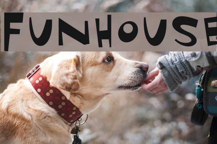 Funhouse Schriftart examples