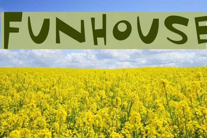 Funhouse Schriftart examples