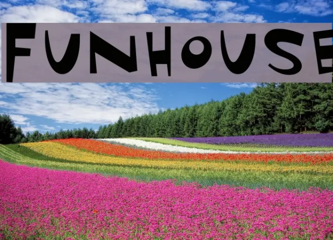 Funhouse Example 3